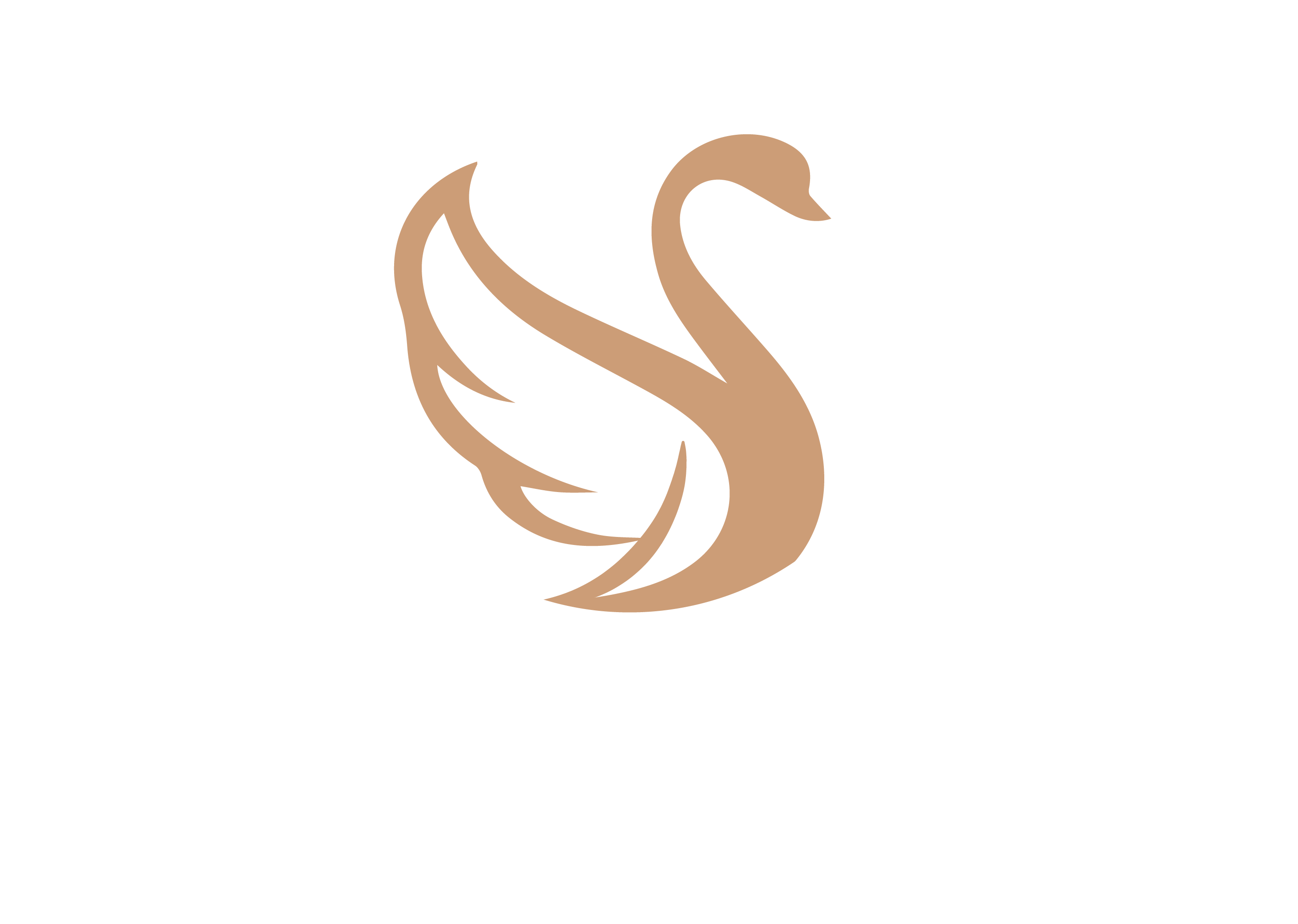 The Swan Bar